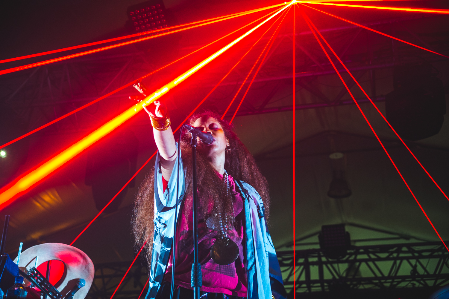 erykah badu