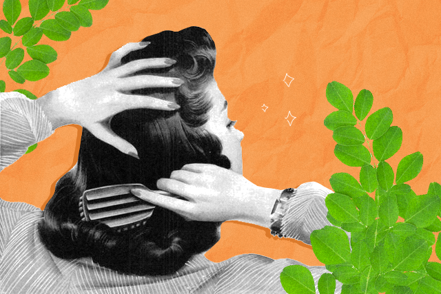Haircare_Moringa_Hair