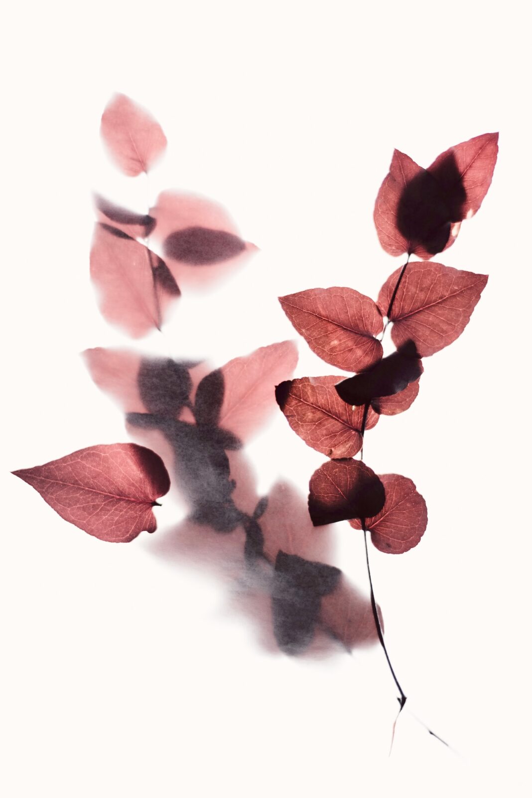 After each summer comes the proverbial autumn, a fall, and, a falling out. Enter the friend breakup | Photo by Evie S. on Unsplash